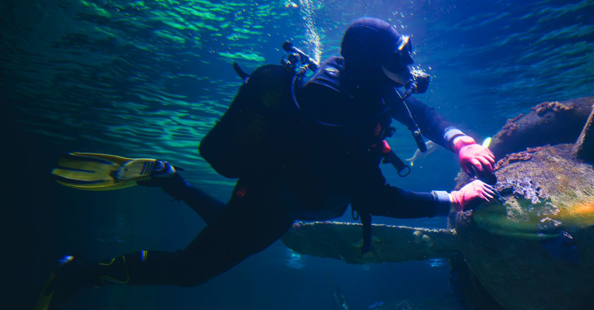 Scuba diver engaged in underwater maintenance of an aquarium habitat, ensuring marine conservation.